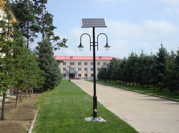 ̫���ͥԺ��